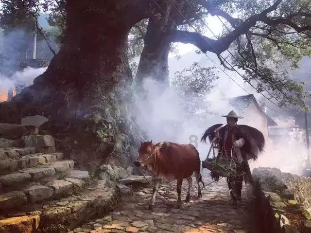 凯美瑞2.0有平衡轴吗-发现并分享你的兴趣
